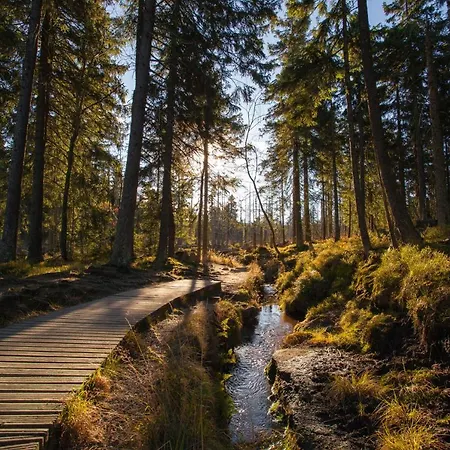 Haus Nietmann_ 5 아파트 *